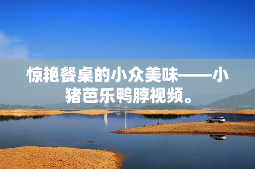 惊艳餐桌的小众美味——小猪芭乐鸭脖视频。