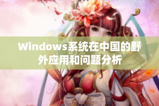 Windows系统在中国的野外应用和问题分析