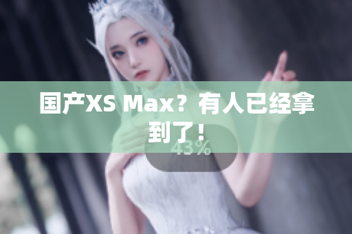 国产XS Max？有人已经拿到了！