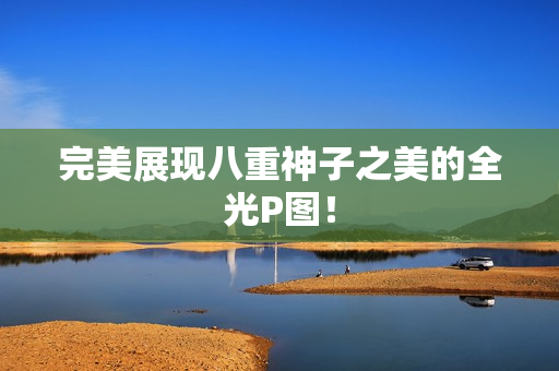 完美展现八重神子之美的全光P图！