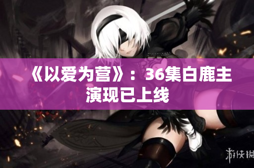《以爱为营》：36集白鹿主演现已上线