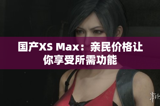 国产XS Max：亲民价格让你享受所需功能