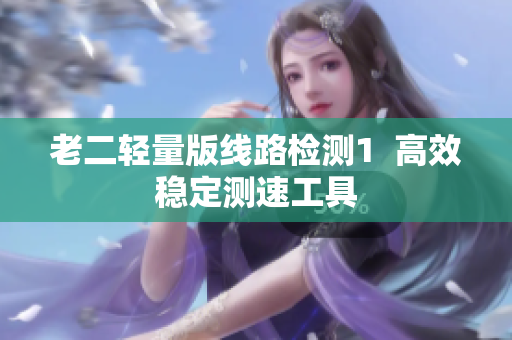 老二轻量版线路检测1  高效稳定测速工具