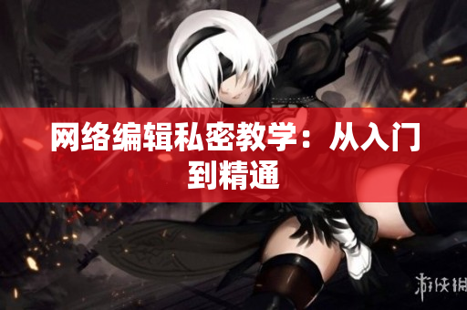 网络编辑私密教学：从入门到精通