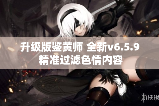 升级版鉴黄师 全新v6.5.9 精准过滤色情内容