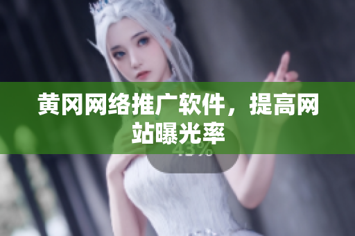 黄冈网络推广软件，提高网站曝光率