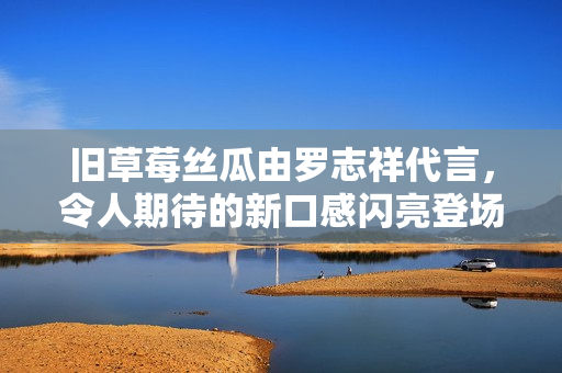旧草莓丝瓜由罗志祥代言，令人期待的新口感闪亮登场