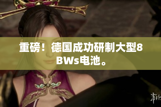 重磅！德国成功研制大型8BWs电池。