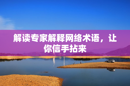 解读专家解释网络术语，让你信手拈来