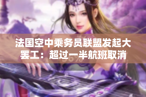 法国空中乘务员联盟发起大罢工：超过一半航班取消