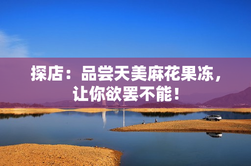 探店：品尝天美麻花果冻，让你欲罢不能！