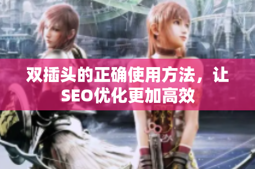 双插头的正确使用方法，让SEO优化更加高效