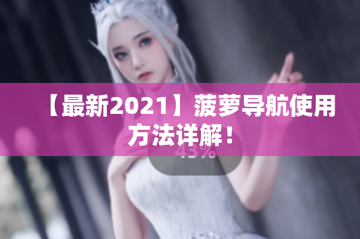 【最新2021】菠萝导航使用方法详解！