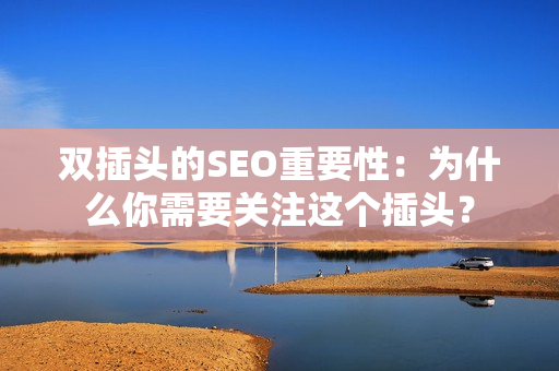 双插头的SEO重要性：为什么你需要关注这个插头？