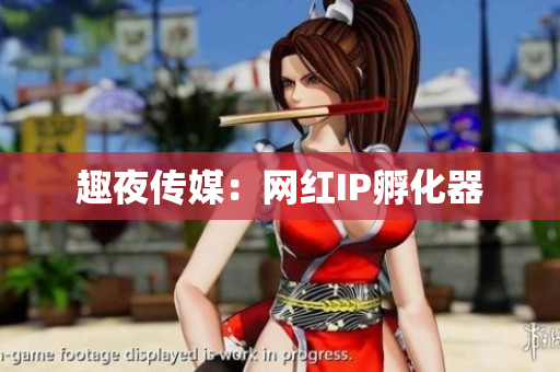 趣夜传媒：网红IP孵化器