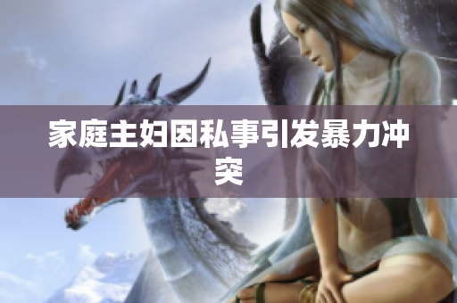 家庭主妇因私事引发暴力冲突