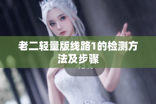 老二轻量版线路1的检测方法及步骤