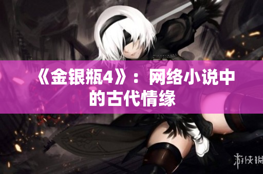 《金银瓶4》：网络小说中的古代情缘