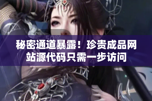 秘密通道暴露！珍贵成品网站源代码只需一步访问