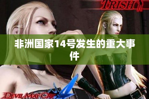 非洲国家14号发生的重大事件