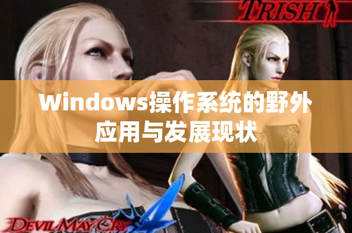 Windows操作系统的野外应用与发展现状