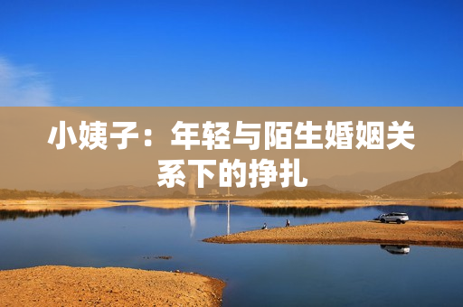 小姨子：年轻与陌生婚姻关系下的挣扎