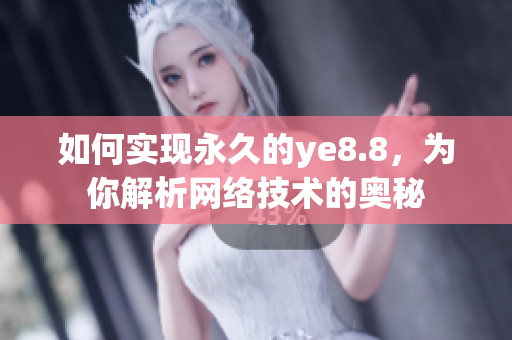 如何实现永久的ye8.8，为你解析网络技术的奥秘