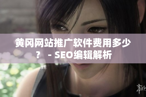 黄冈网站推广软件费用多少？－SEO编辑解析