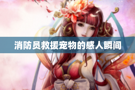 消防员救援宠物的感人瞬间