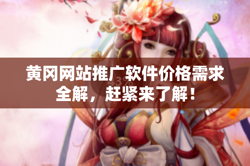 黄冈网站推广软件价格需求全解，赶紧来了解！