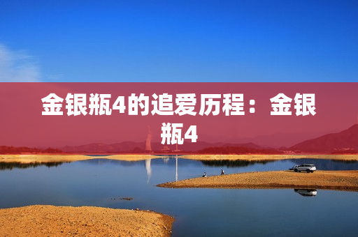 金银瓶4的追爱历程：金银瓶4