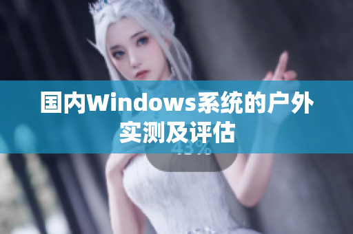 国内Windows系统的户外实测及评估