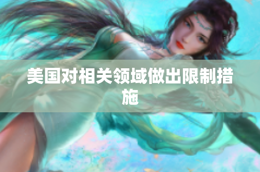美国对相关领域做出限制措施