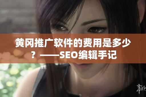 黄冈推广软件的费用是多少？——SEO编辑手记