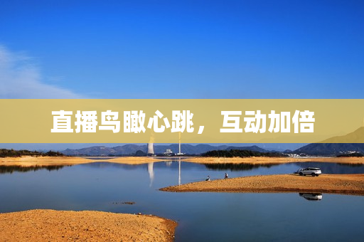 直播鸟瞰心跳，互动加倍