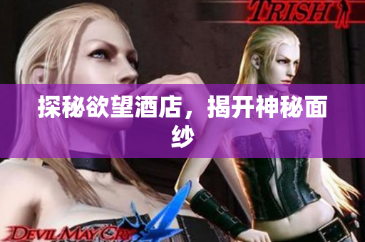 探秘欲望酒店，揭开神秘面纱