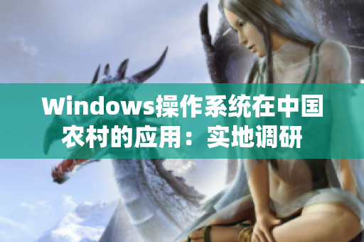 Windows操作系统在中国农村的应用：实地调研
