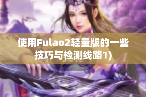 使用Fulao2轻量版的一些技巧与检测线路1)