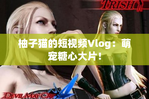 柚子猫的短视频Vlog：萌宠糖心大片！