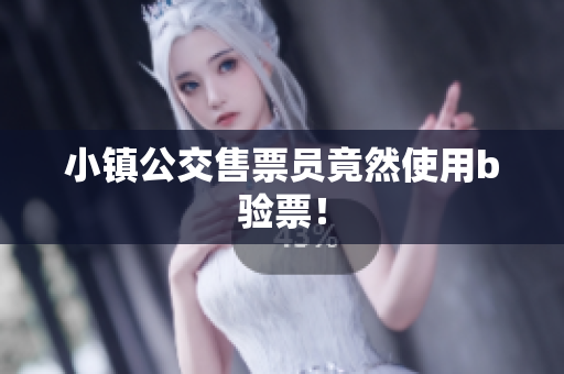 小镇公交售票员竟然使用b验票！
