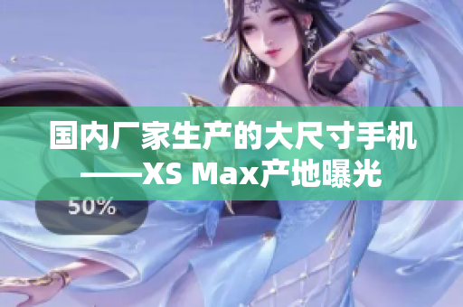国内厂家生产的大尺寸手机——XS Max产地曝光