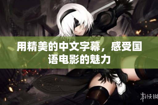 用精美的中文字幕，感受国语电影的魅力