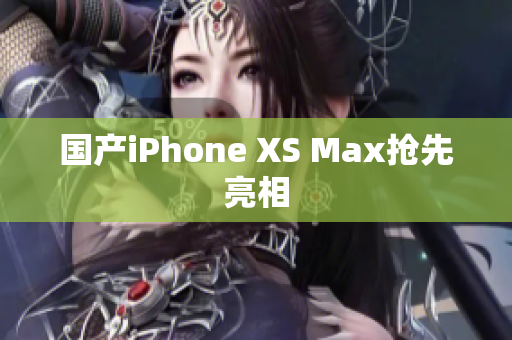 国产iPhone XS Max抢先亮相