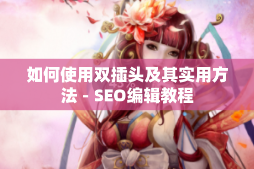 如何使用双插头及其实用方法 - SEO编辑教程