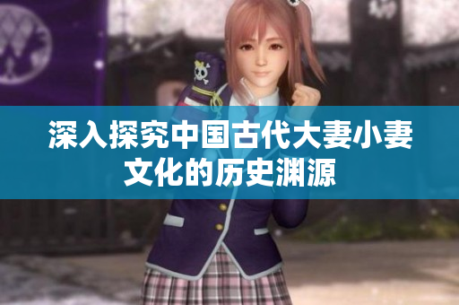 深入探究中国古代大妻小妻文化的历史渊源