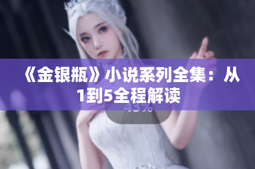 《金银瓶》小说系列全集：从1到5全程解读