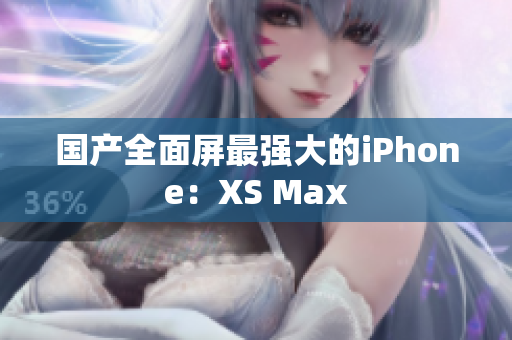 国产全面屏最强大的iPhone：XS Max
