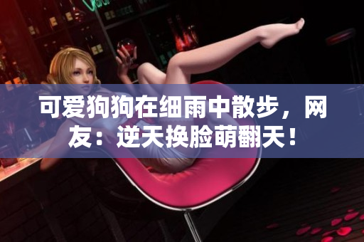可爱狗狗在细雨中散步，网友：逆天换脸萌翻天！