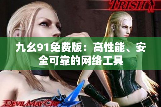 九幺91免费版：高性能、安全可靠的网络工具
