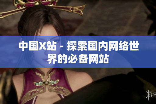 中国X站 - 探索国内网络世界的必备网站